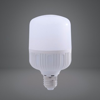 Bóng đèn led 30w