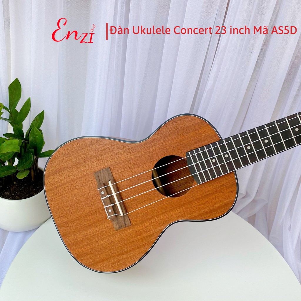 Đàn ukulele concert AS6D Enzi 23 inch gỗ mộc trơn khóa đúc giá rẻ cho bạn mới bắt đầu tập chơi