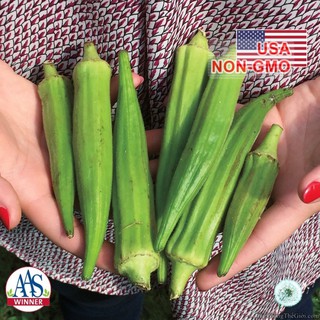 50GR Hạt Giống Đậu Bắp Lùn Cao Sản Clemson (| G3*X54)