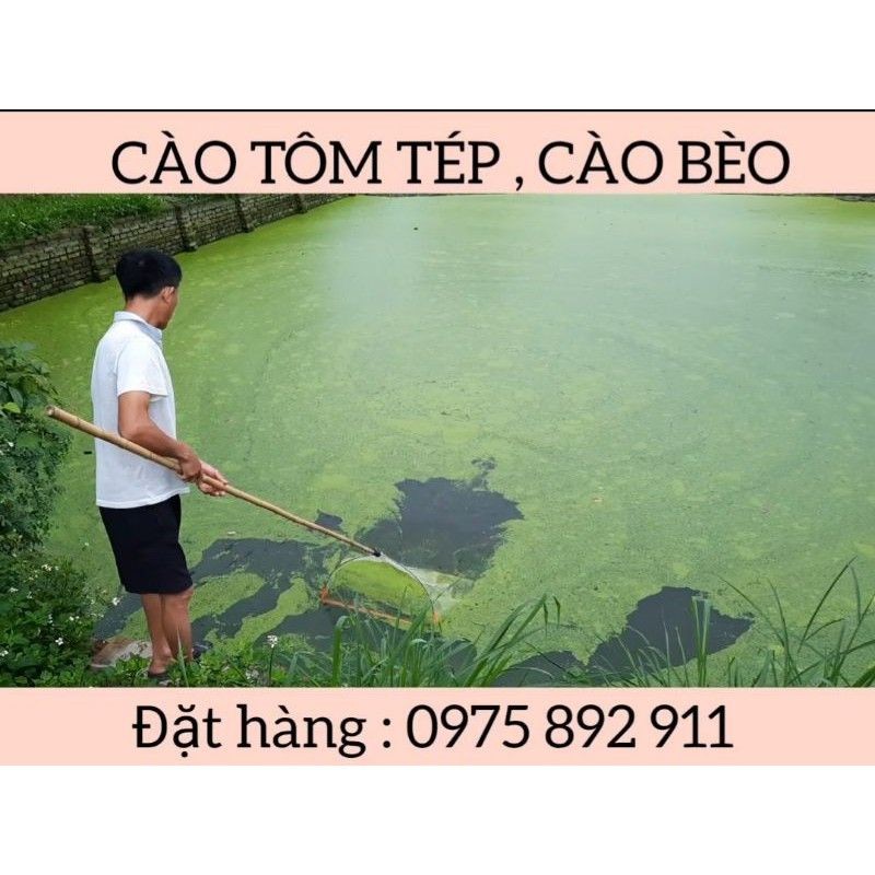 VỢT CÀO TÔM ,TÉP , BÈO TẤM