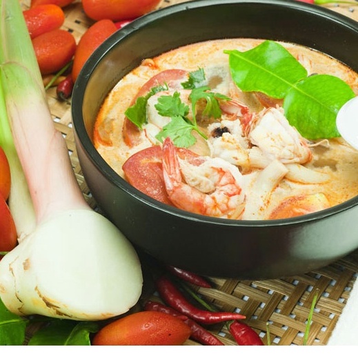 Cây Chúc giống .