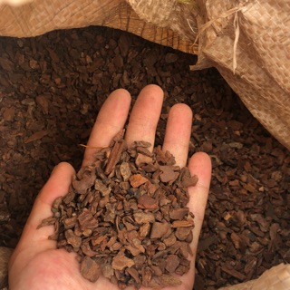 1kg vỏ thông vụn cho lan, ươm ki