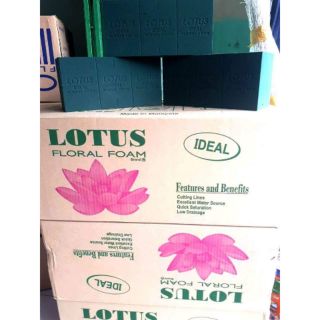 Xốp để cắm hoa