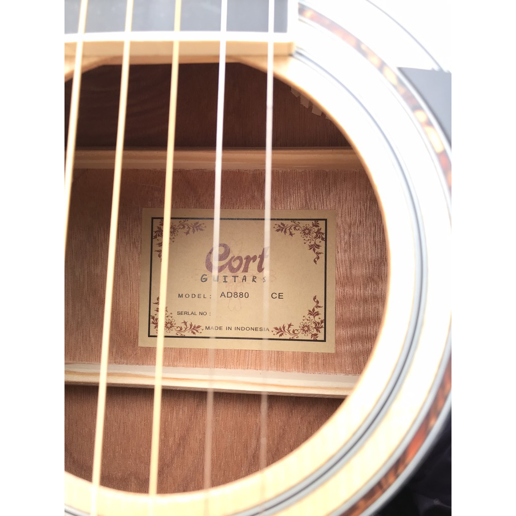 Đàn guitar Acoustic Cort AD810 và AD880CE