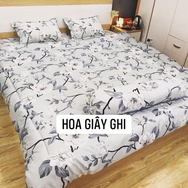 Set chăn phao