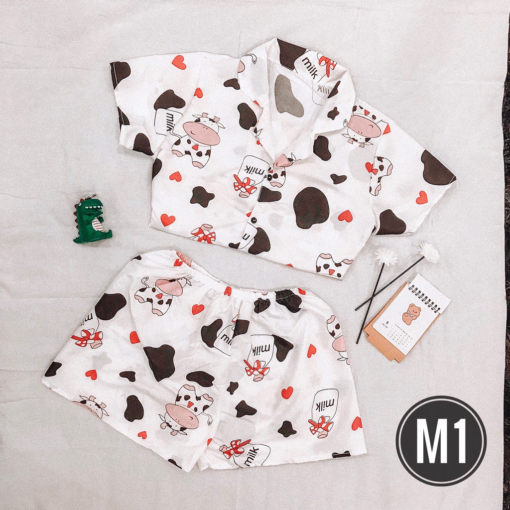 Bộ Ngủ Pijama Hàn Quốc Siêu Đáng Yêu | BigBuy360 - bigbuy360.vn