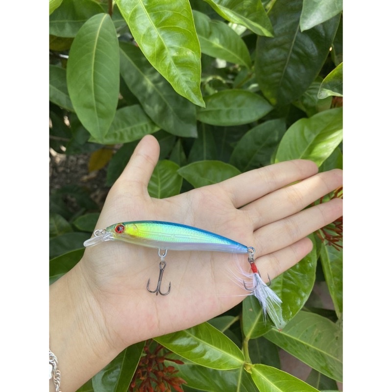 Mồi câu cá Chẽm, cá Mú, cá Ngão, cá Biển đuôi lông