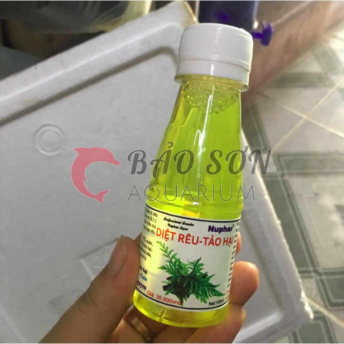 Diệt mọi rêu tảo hại của Nuphar cho bể thủy sinh cá cảnh - diệt rêu tóc, chùm đen, tảo lam, tảo nâu...
