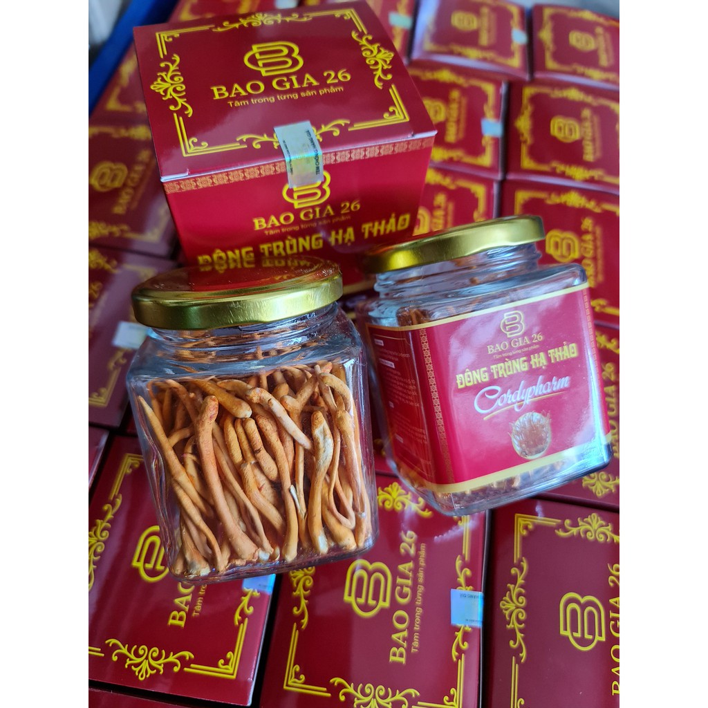 [Mã 267FMCGSALE giảm 8% đơn 500K] [10g] Nấm Đông trùng hạ thảo "Cordyceps" Sấy thăng hoa (Theo Đề án cấp nhà nước) | BigBuy360 - bigbuy360.vn