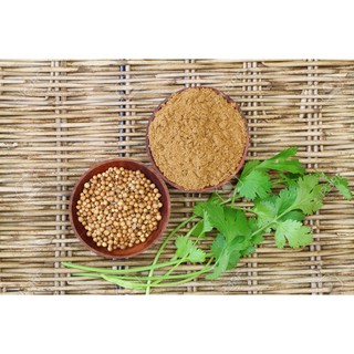 Bột ngò Ấn Độ - Coriander Powder
