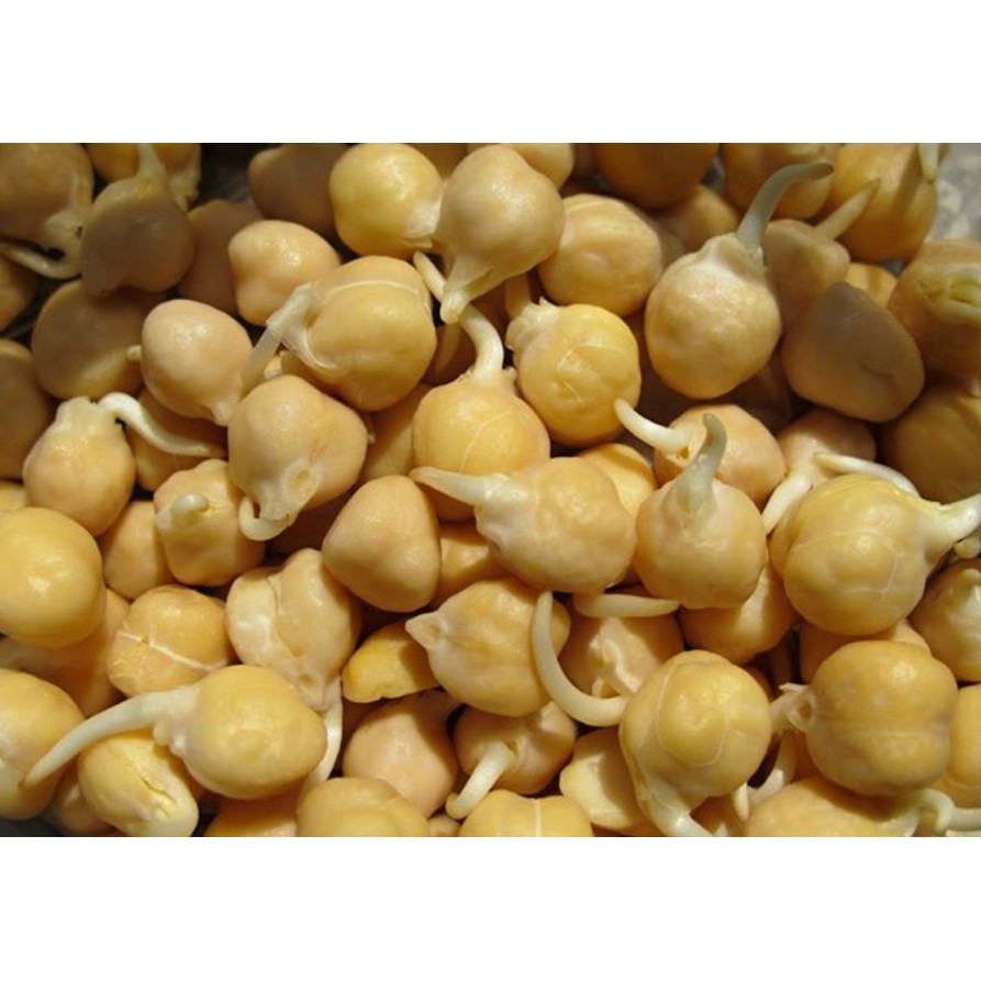 [NON - GMO] ĐẬU GÀ ẤN ĐỘ 500Gram