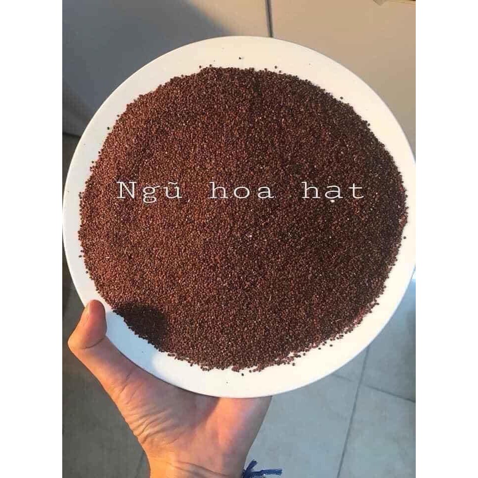 Hạt Đình Lịch  T127 Sản Phẩm Handmade từ thiên nhiên