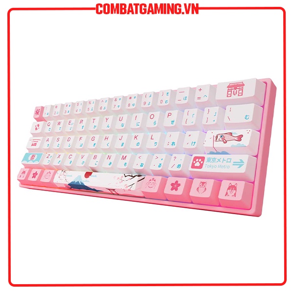 Bàn Phím Cơ AKKO 3061 World Tour Tokyo R2 RGB