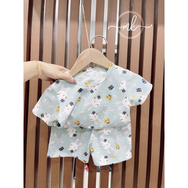 Bộ cộc tay hè hàng xuất cho bé trai bé gái
