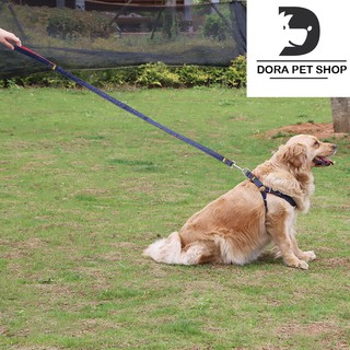 DÂY DẮT CHÓ MÈO ĐI DẠO