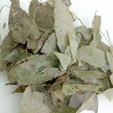 Lá dâm dương hoắc