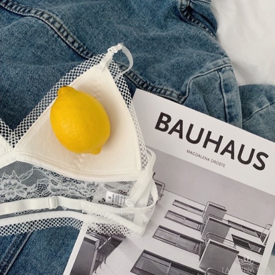 ÁO LÓT nữ không gọng LA REINA BRA - LRAB069 hở lưng đệm mỏng hàng cao cấp siêu tôn vòng 1