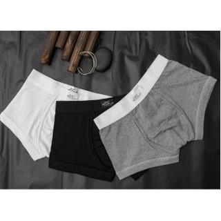 Combo 3 quần lót David Beckham boxer