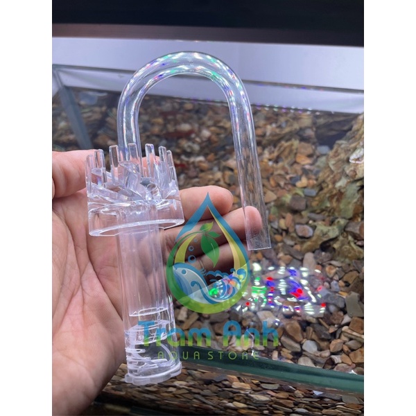 IN OUT Acrylic F8 - F10 - F12 -F16 kết hợp hút váng - bể mini