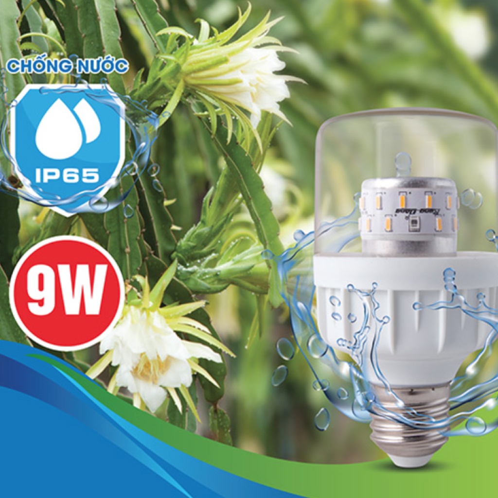 Đèn LED trồng cây thanh long 9W Chính hãng Rạng Đông, Model LED.TL-T60 WFR/9W