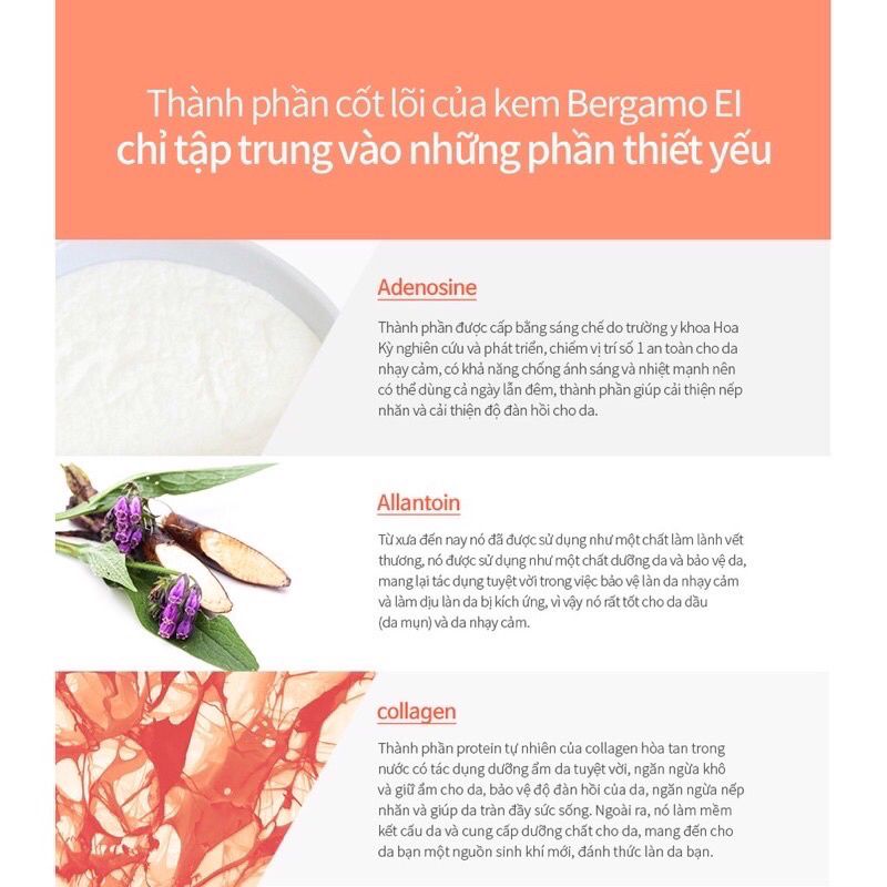 Kem Dưỡng Da Chuyên Sâu Bergamo Collagen Essential Intensive 50g BTS