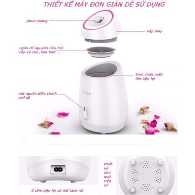 Máy xông mặt hoa quả