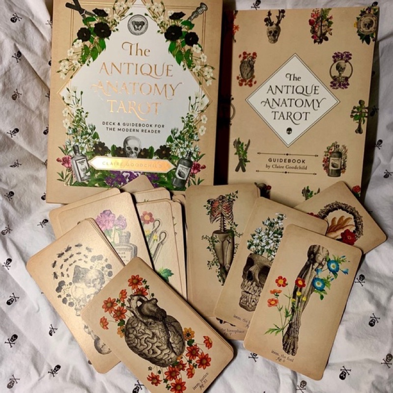 Bộ bài The Antique Anatomy Tarot Kit authentic order Mỹ  for the Modern Reader