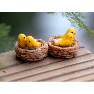 Tiểu cảnh tổ chim trang trí chậu cây, sen đá