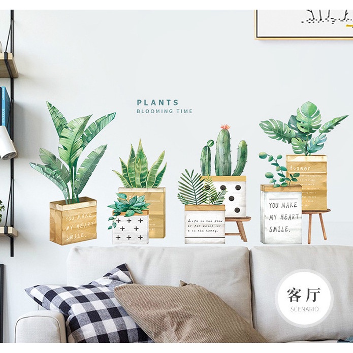 Decal trang trí tường - Nhiều chậu cây xanh trong chậu gỗ