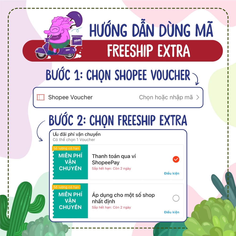Sen đá mini 40 loại khác nhau SONDA garden, cây cảnh trang trí nhà cửa, lỗi 1 đổi 1