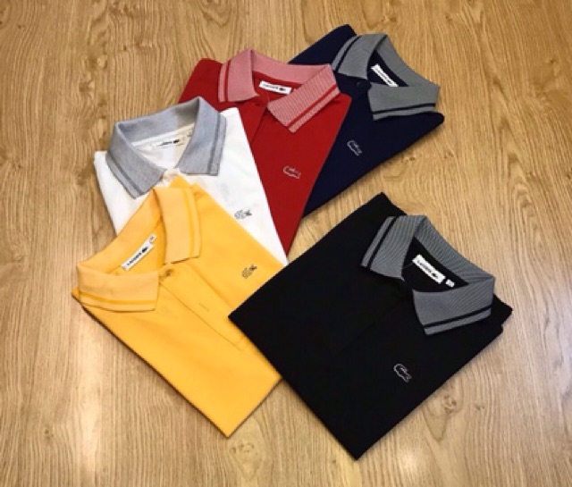 [ẢNH THẬT+VID THẬT]🔥ÁO PHÔNG NỮ POLO CỔ BẺ XUẤT DƯ 🌝 ÁO POLO NỮ XỊN | BigBuy360 - bigbuy360.vn