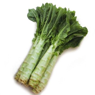 Hạt giống rau diếp tây ( 1gr)