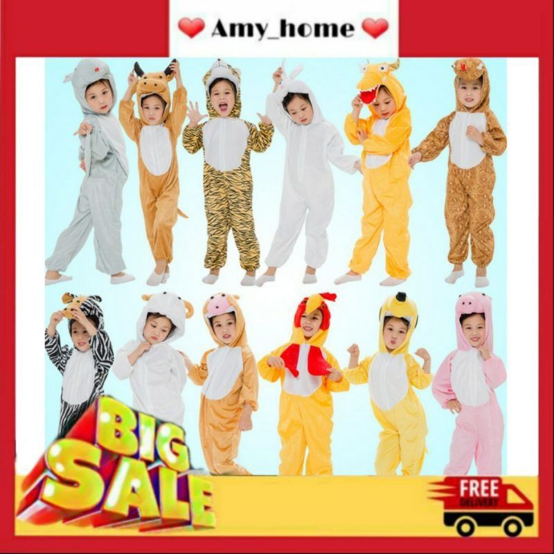 Trang phục quần áo thú con gà trống