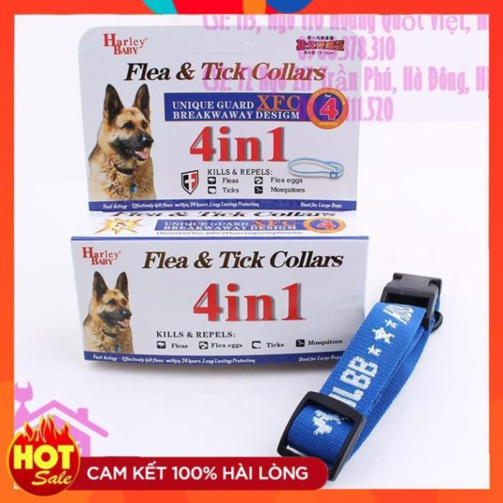 Vòng cổ chống ve rận Harley Baby 4 in 1 dành cho chó mèo - Phụ kiện thú cưng Pet shop Hà Nội