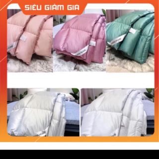 Chăn lông vũ cao cấp