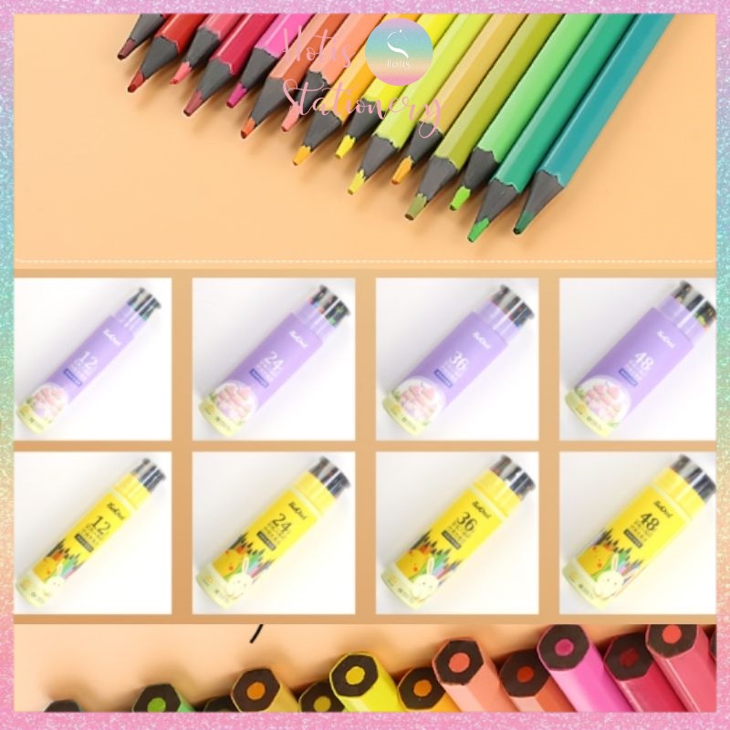 [HOTIS] Bút chì màu Touchcool sản phẩm thân thiện với môi trường - Bộ 12/ 24/ 36/ 48 màu