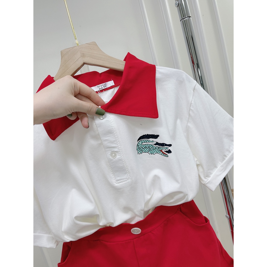 Set áo polo cá sấu mix quần short đùi đỏ DN988