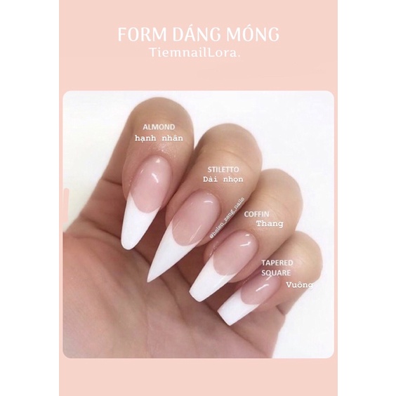 Móng úp thiết kế : Mẫu Nail Rose - On The Ground Blackpink + Keo Dũa - Lylia Nail Box