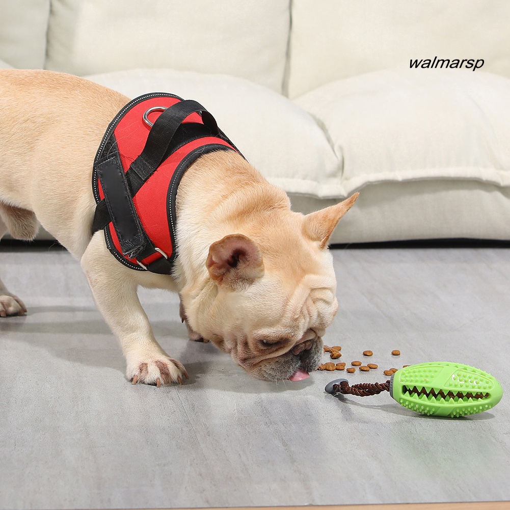 Đồ Chơi Nhai Gặm Co Giãn Hình Quả Bóng Bầu Dục Cho Thú Cưng