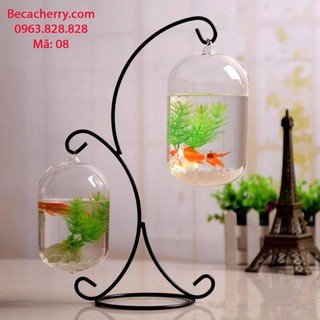 Bể Cá Mini Chữ X - 08 ( Tặng Kèm Phụ Kiện Trang Trí )