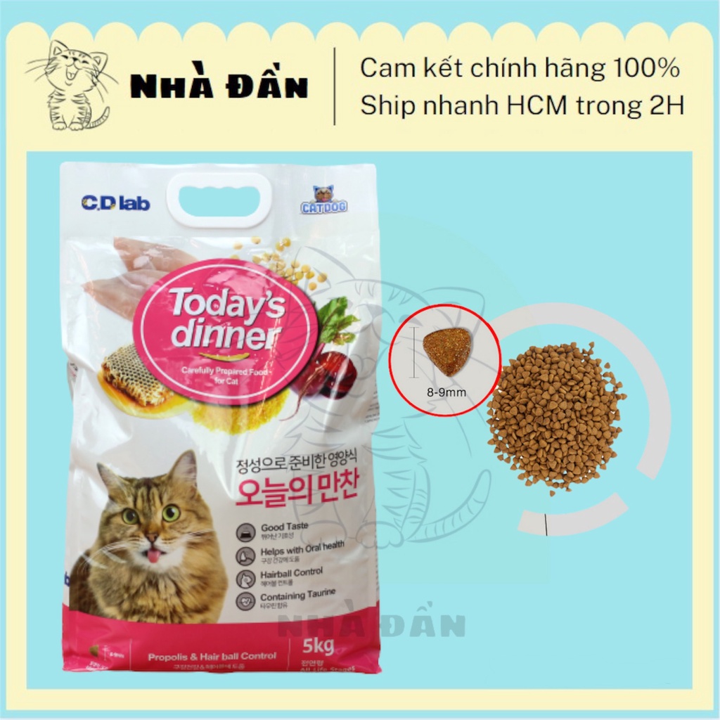 Hạt Today dinner cho mèo mọi lứa tuổi