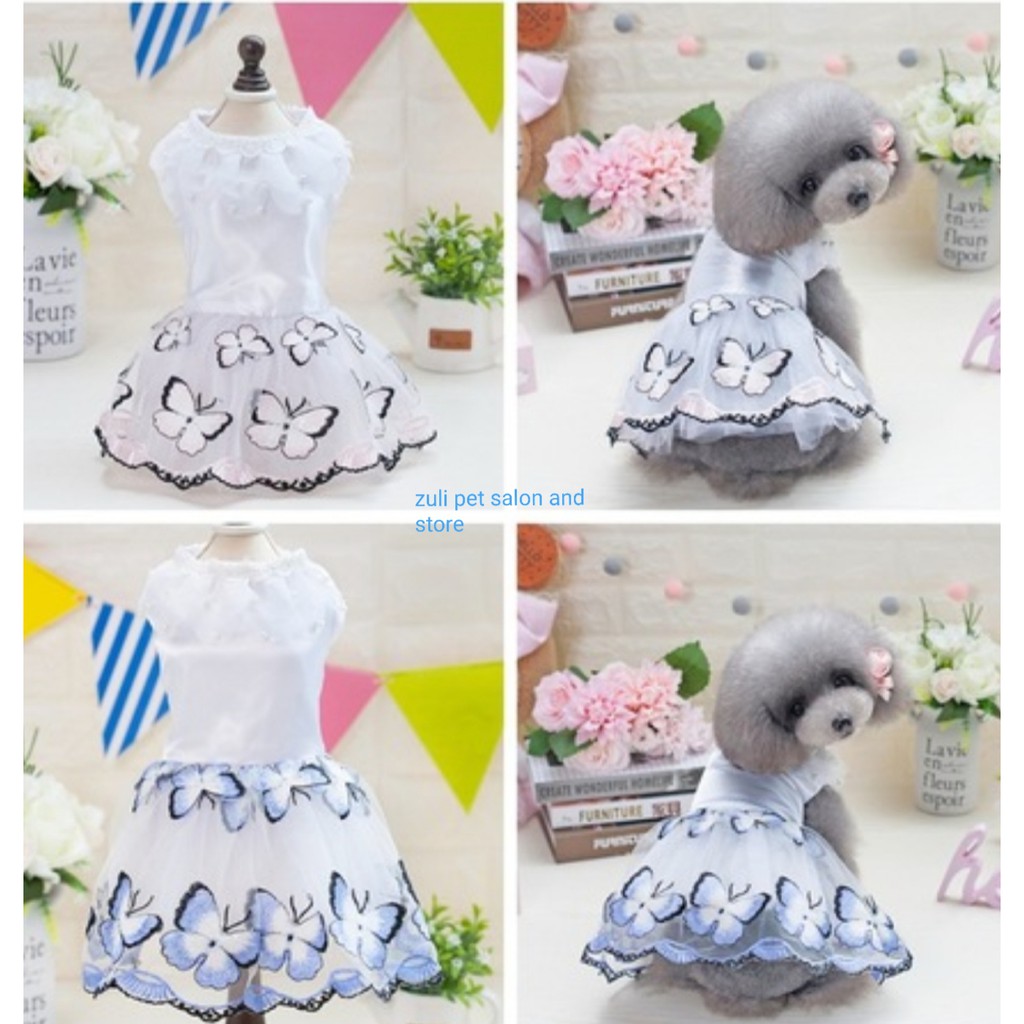 ĐẦM CHO CHÓ MÈO