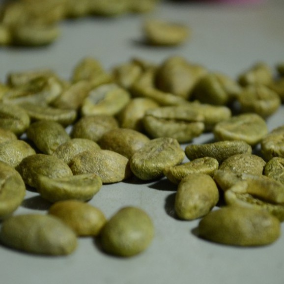 Cà phê nhân xanh chưa rang green bean