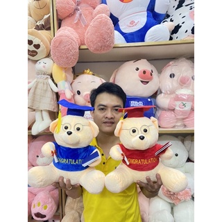 Gấu bông tốt nghiệp 20cm 25cm 30cm