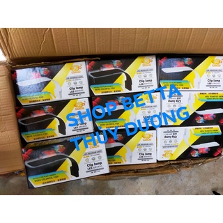 Đèn Led kẹp bể cá -Hồ 30-40 cm