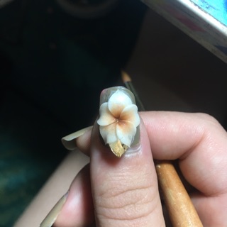 Hoa linh nail