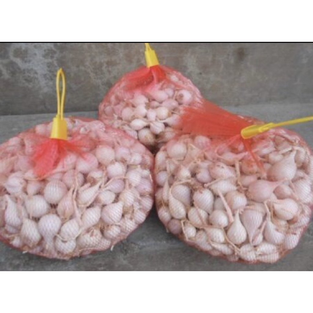 tỏi cô đơn chính gốc lý sơn (người dân ls bán ) (loại 0.5 kg)