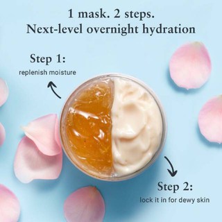 Mặt nạ ngủ Fresh Rose Deep Hydration Sleeping Mask