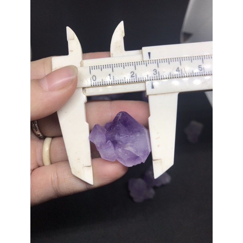 Mầm tím thô viên 2-3cm | BigBuy360 - bigbuy360.vn