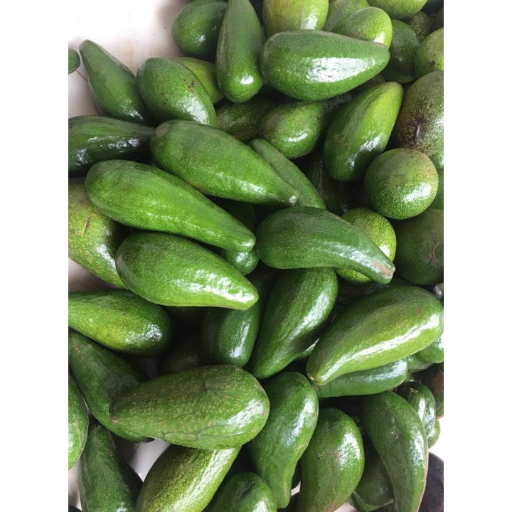 1KG BƠ SÁP GIA LAI DẺO NGON NHÀ TRỒNG